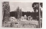 RF179 - Carte Postala - Borsec. Vile din statiune. circulata 1964