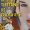 RETETE TIBETANE DE FRUMUSETE-VIKTOR VOSTOKOV-220535