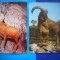 HOPCT LOT NR 463 CAPRINE -FAUNA-2 CARTI POSTALE-NECIRCULATE
