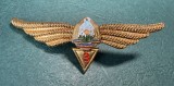 Insigna Navigator Aerian Cl 3 aviatie militara 1966 1977 RSR