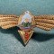 Insigna Navigator Aerian Cl 3 aviatie militara 1966 1977 RSR