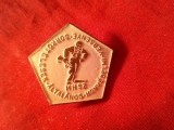 Insigna Militara Ungaria - MHSZ - Educatia pt Aparare , metal si email , h=2,4cm