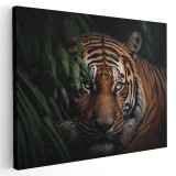Tablou canvas tigru in salbaticie, negru, maro, verde 1113 Tablou canvas pe panza CU RAMA 50x70 cm