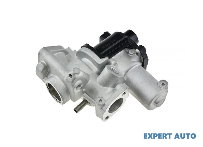 Supapa egr Volkswagen Touareg (2002-2010)[7LA,7L6,7L7] #1