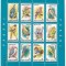 Romania (34) - Pasari, 1991, 2 blocuri neobliterate + 2 FDC, lot