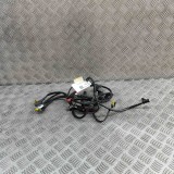 Cablaj ușă dreapta față FERRARI 575 MARANELLO 2003 OEM: 193196 31318172