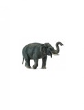 Figurina Elefant asiatic XL Collecta