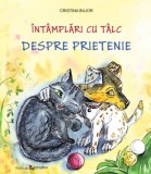&Icirc;nt&acirc;mplări cu t&acirc;lc. Despre prietenie - Paperback brosat - Cristina Bujor - Epigraf