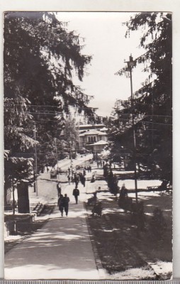 bnk cp Slanic Moldova - Vedere din statiune - circulata foto
