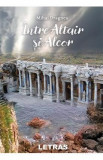 Intre Altair si Alcor - Mihai Dragnea