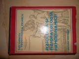 FIZIOLOGIA SI FIZIOPATOLOGIA HEMODINAMICII - Exarcu