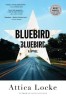 Bluebird, Bluebird - Roman de Attica Locke, Thriller despre Rasa si Justitie in East Texas