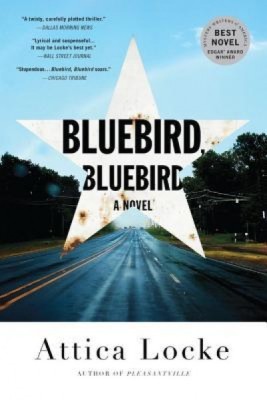 Bluebird, Bluebird foto