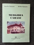MEDGIDIA CARASU - Lapusan