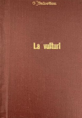 La vulturi Gala Galaction foto