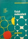Fizica moleculara (Probleme) - C. Plavitiu