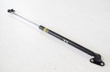 Amortizor haion st&acirc;nga TOYOTA LAND CRUISER 100 _J1_ 2006 4038869