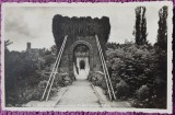 Carte postala, Craiova, Podul Suspendat din parcul Romanescu, perioada interbelica