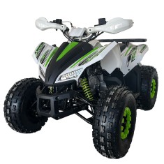 Atv Tao Coyote 8&amp;amp;quot; 125cc 4T benzina alb/verde automat foto