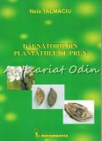 Daunatorii Din Plantatiile De Prun - Nela Talmaciu