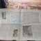 22, anul I nr. 8, 9 mar. 1990, Ce &icirc;nseamnă că ești țigan?; Dialog cu H. Wald 050