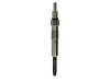 Bujie incandescenta VW CADDY II Caroserie (9K9A) (1995 - 2004) BOSCH 0 250 202 022