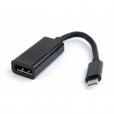 CABLU video SPACER, adaptor USB 3.1 Type-C (T) la DisplayPort (M), 15cm,