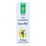 Ulei esential de eucalipt, 5ml, Steaua Divina