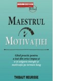 Maestrul motivatiei. Ghid practic pentru a iesi din orice impas si a-ti asigura energie si motivatie pe termen lung - Thibaut Meurisse