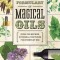 Llewellyn&#039;s Complete Formulary of Magical Oils: Over 1200 Recipes, Potions &amp; Tinctures for Everyday Use