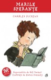 Marile sperante | Charles Dickens , Gill Tavner, Curtea Veche Publishing