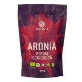Pudra Aronia Melanocarpa 200g Aronia Charlottenburg - Superaliment Natural Scorus Negru