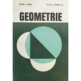 Geometrie - Edwin E. Moise