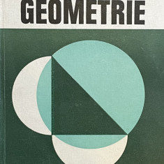 Geometrie - Edwin E. Moise