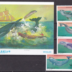 Somalia 1999 fauna marina balene MI 789-792 + bl.64 MNH