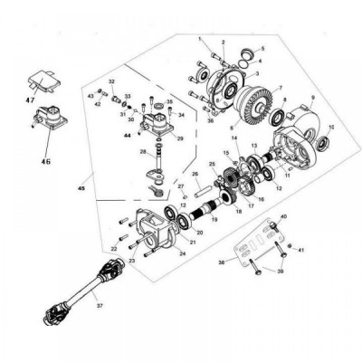 16. Pinion 2 diferential fata Linhai foto