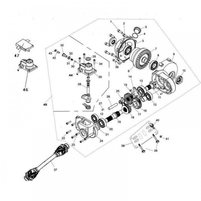 16. Pinion 2 diferential fata Linhai