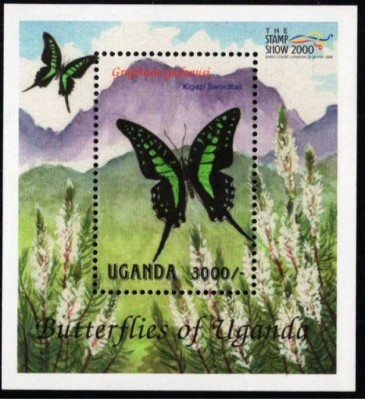 UGANDA 2000 FAUNA INSECTE FLUTURI foto