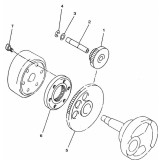 4. Saiba elastica 12