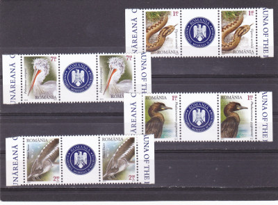 FAUNA DUNAREANA OCROTITA,SERII IN TRIPTIC + VINIETA,2010, MNH,LP1868 , ROMANIA. foto