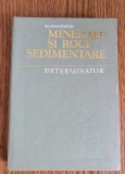 Cumpara ieftin Minerale și roci sedimentare. Determinator - N. Anastasiu