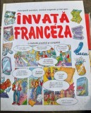 INVATA FRANCEZA. O METODA PRACTICA SI COMPLETA - NICOLE IRVING