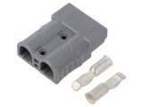 Conector Alimentare DC Hermafrodit AMPHENOL AXC508H6 600V 2 pini
