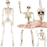 Schelet decorativ Halloween 40 cm Ruhhy, realist, cu membre mobile