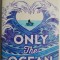 Only the Ocean &ndash; Natasha Carthew