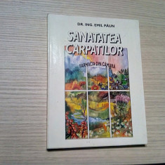 SANATATEA CARPATILOR - Farmacia din Camara - Emil Paun -1995, 272 p.