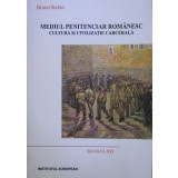 Bruno Stefan - Mediul penitenciar romanesc. Cultura si civilizatie carcerala