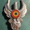 Insigna ATTNA Cl 3 aviatie militara 1992 2000