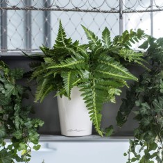 LECHUZA Jardiniera &amp;quot;DELTINI ALL-IN-ONE&amp;quot; alb extralucios foto
