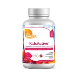 Zahler Kidsactive, Formula Pentru Imbunatatirea Capacitatii De Concentrare Si